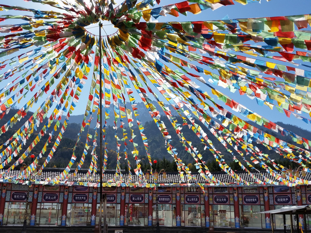 宝兴县旅游攻略图片