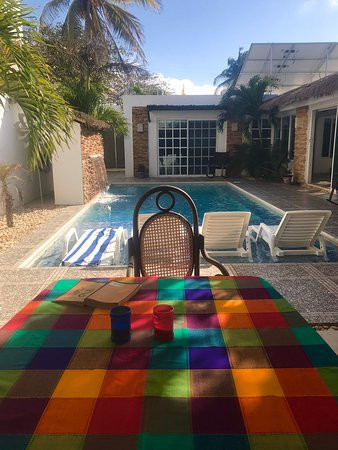 Bears En La Playa主图