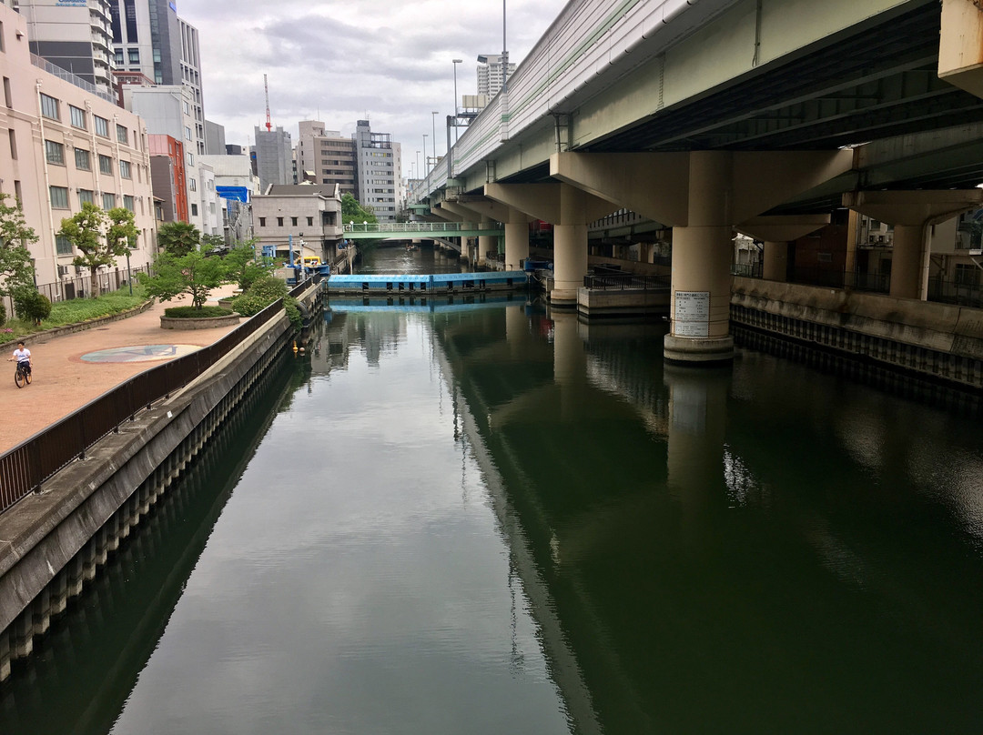 Higashiyokobori River景点图片