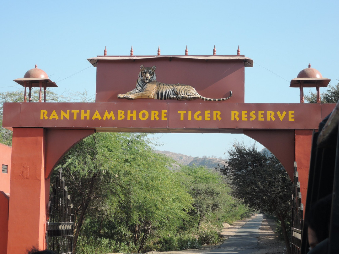 Ranthambore Tiger Reserve景点图片