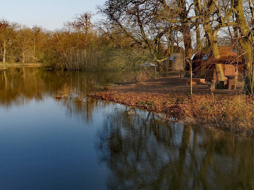 Cabins in the Park