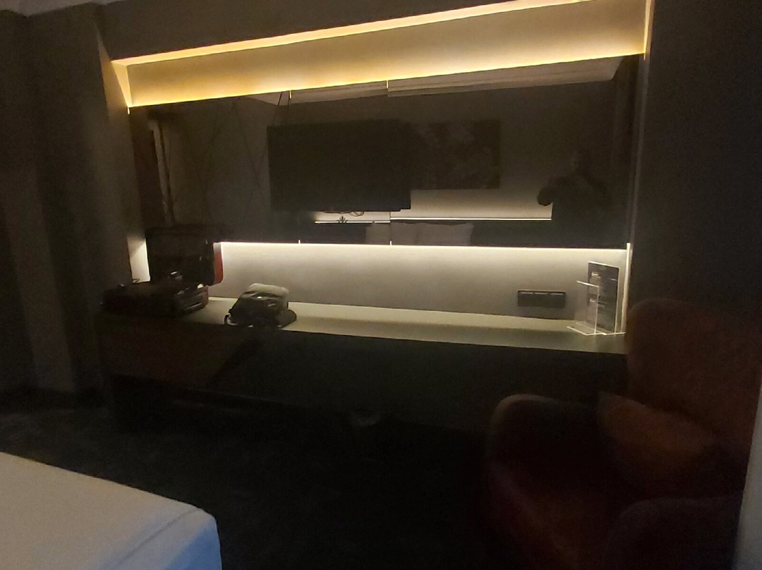 Sakarya Province酒店住宿-Luxon Hotel Sakarya