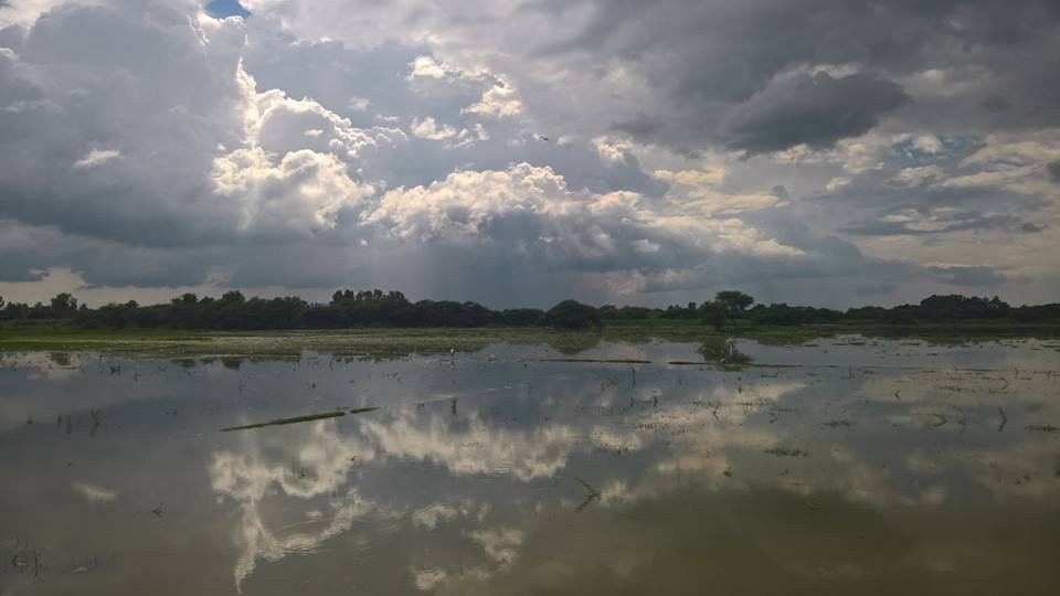 Pilibhit District旅游攻略图片