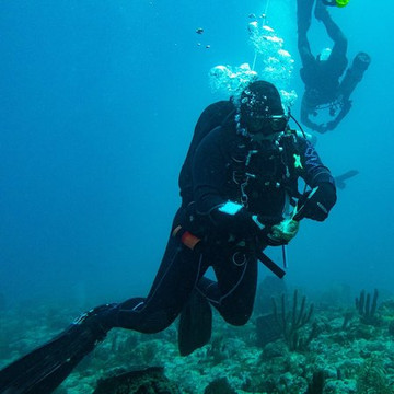 Scubatyme Scuba Charters-庞帕诺比奇必去景点