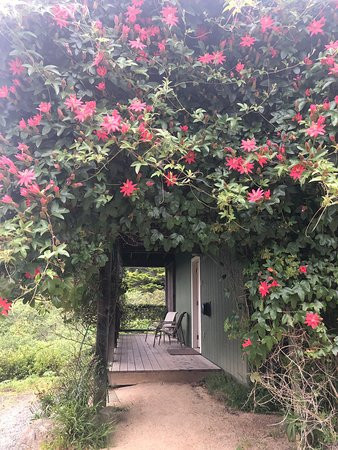 Bodega Bay Inn主图