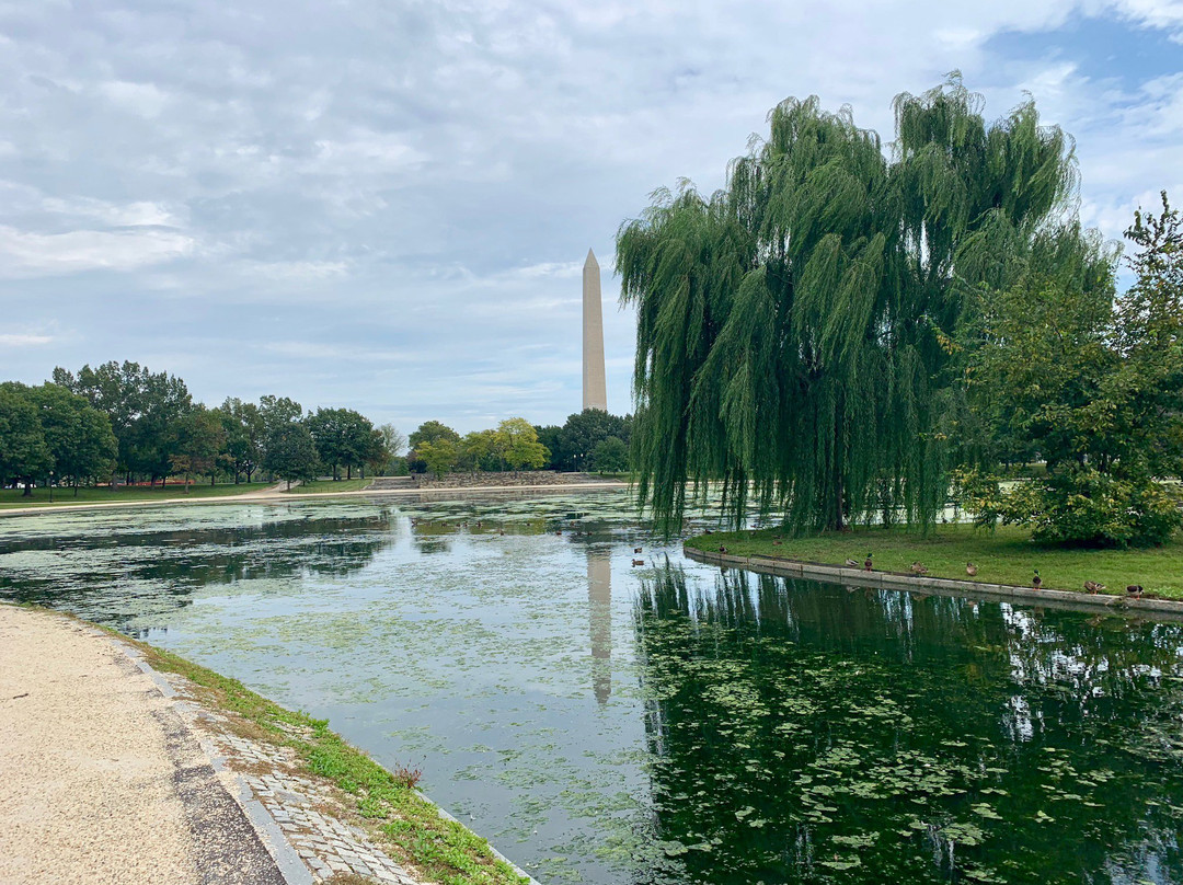 宪法花园-华盛顿特区必去景点