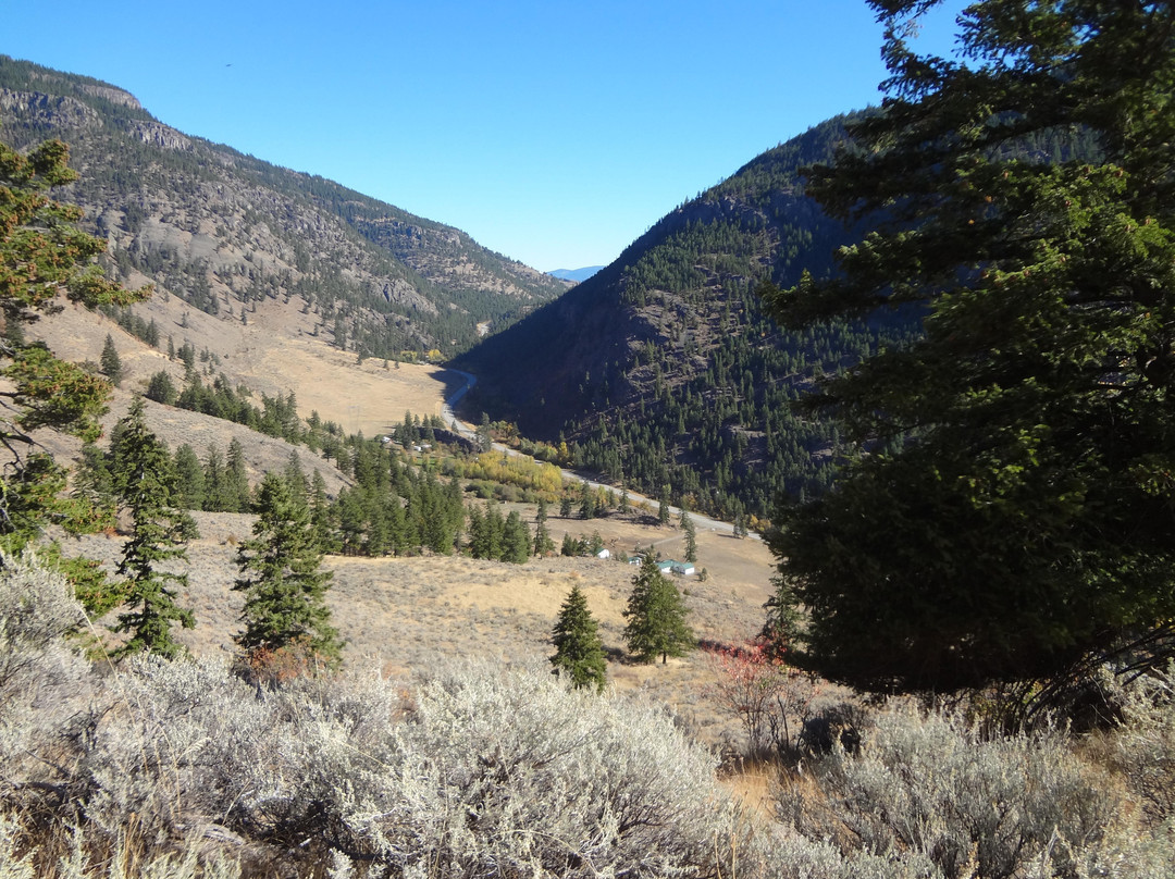 Foggy Mountain Ranch Guest Ranch