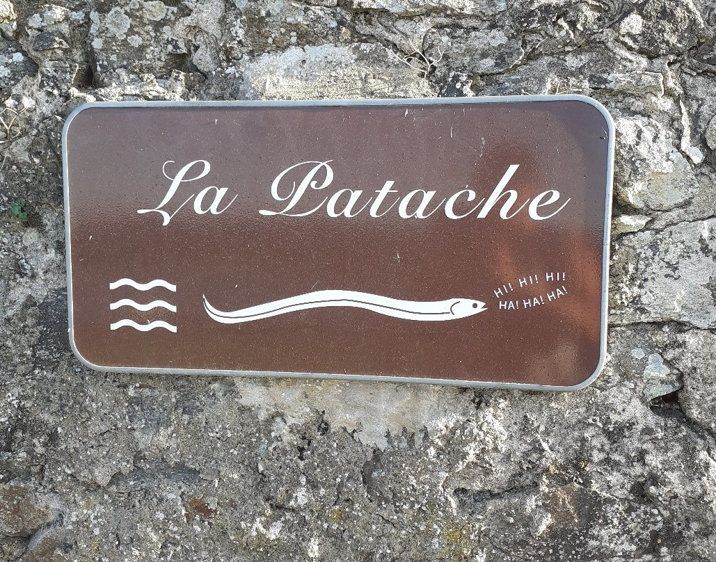 Vestige de la Citadelle Champtoceaux景点图片