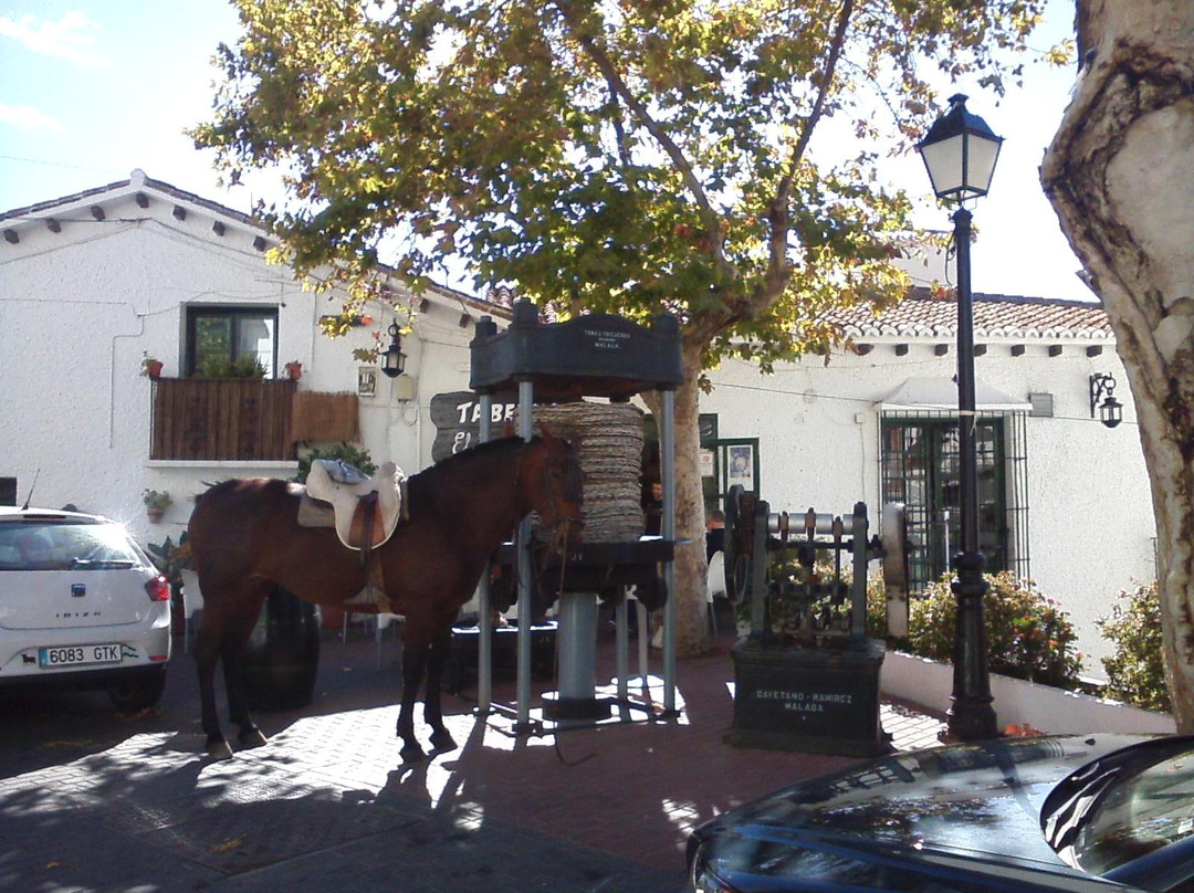 Taberna El Rinconcito