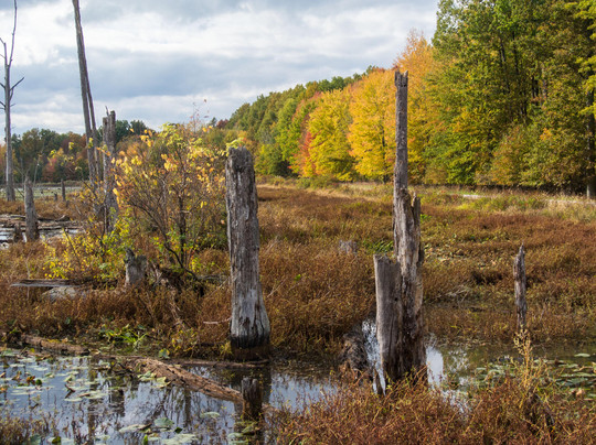 North Ridgeville旅游攻略图片