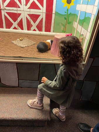 The Children's Museum-西哈特福德必去景点