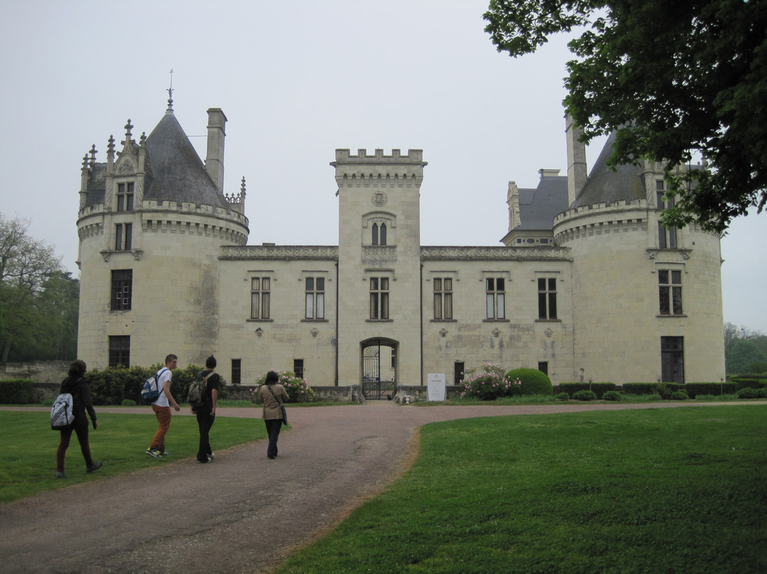 Chateau de Brézé景点图片