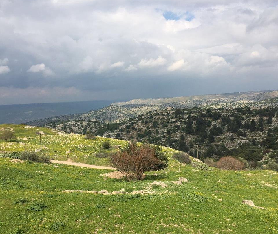 Umm Qais旅游攻略图片