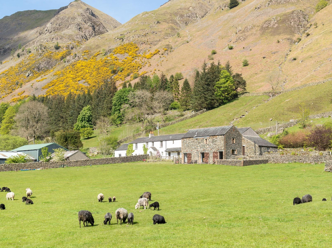 Fornside Farm