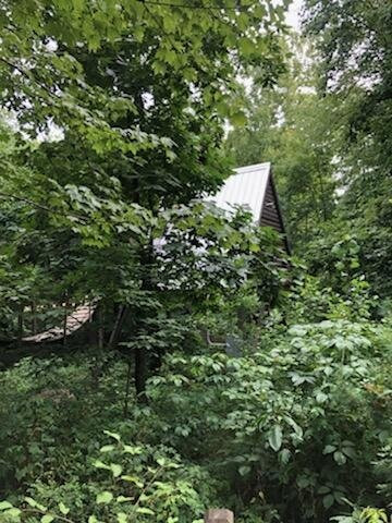 Dwellbox Treehouse Village