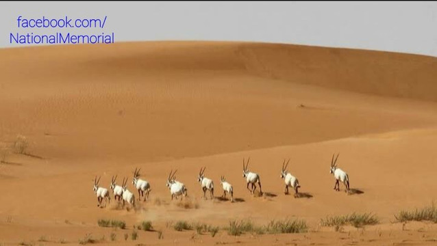 Oroug Bani M'aradh Wildlife Sanctuary