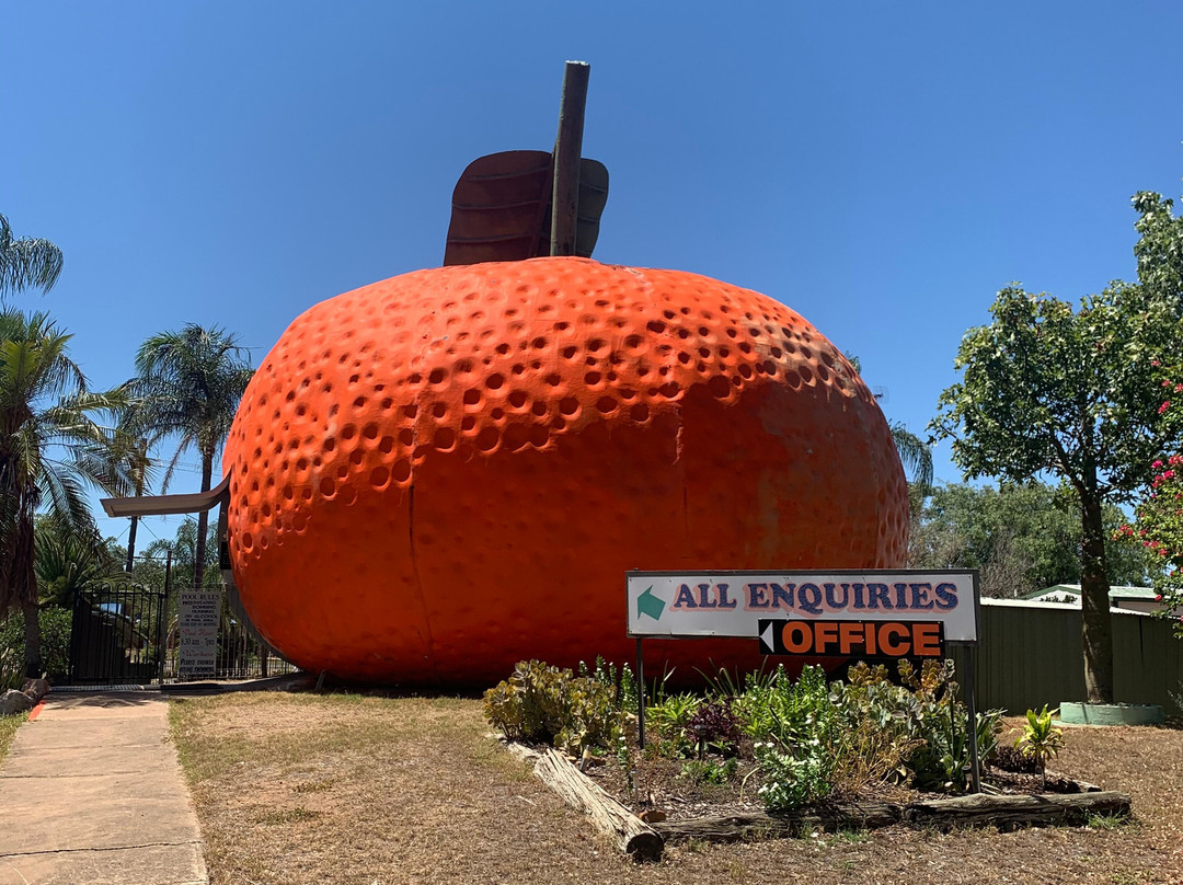 Mundubbera旅游攻略图片