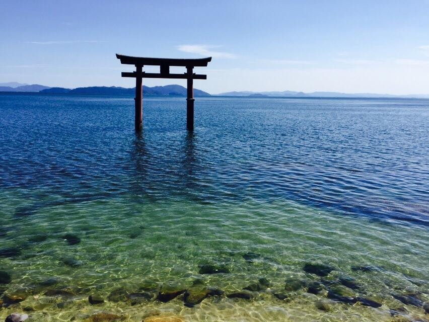 白须神社景点图片