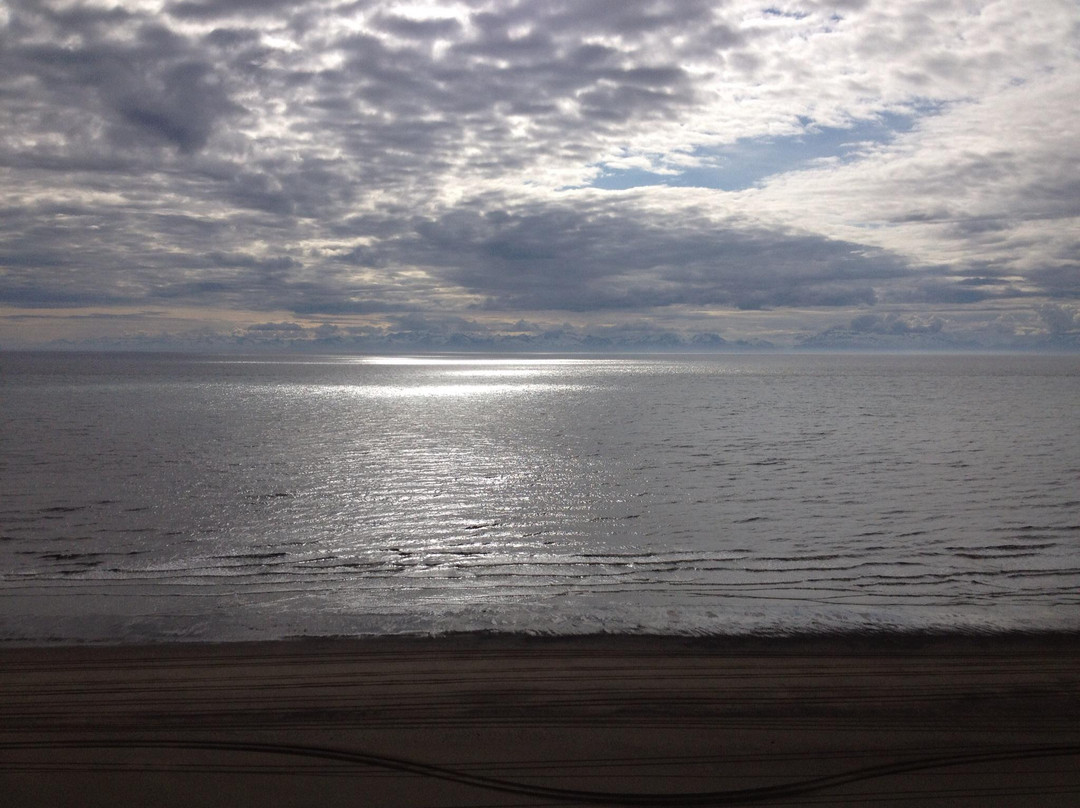Alaska Fish On Charters-基奈必去景点