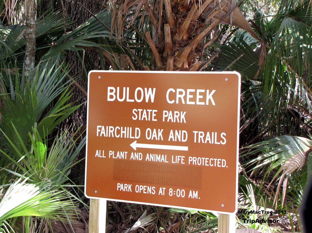 Bulow Creek State Park景点图片