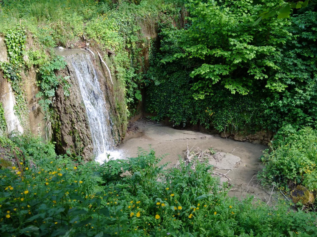 Santuario Madonna di Valleluogo景点图片