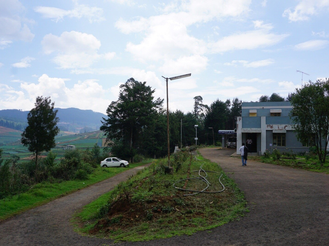Tribal Research Center景点图片