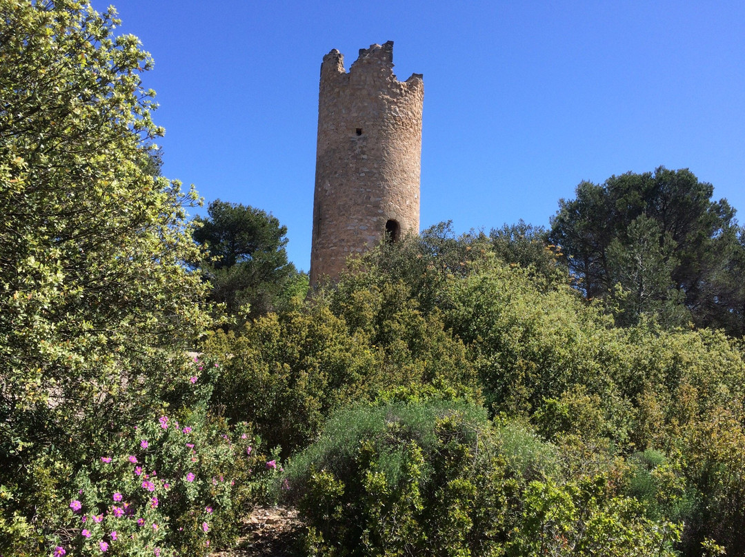 Saint-Marc-Jaumegarde旅游攻略图片