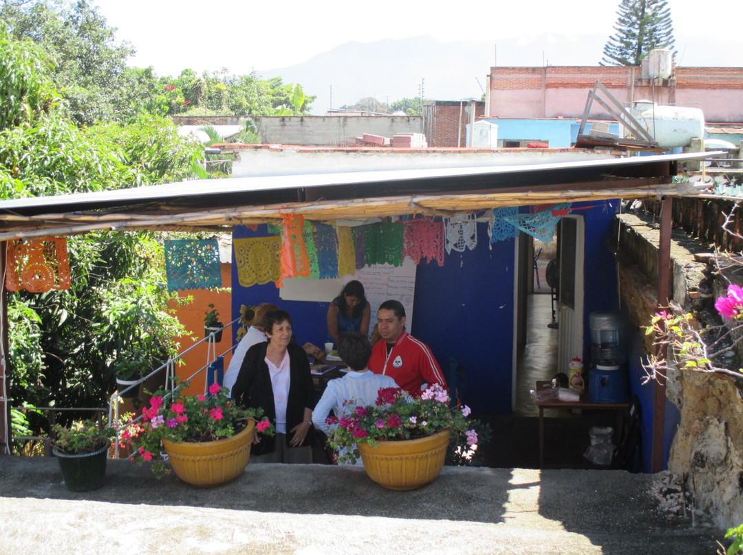 Oaxaca International-瓦哈卡必去景点