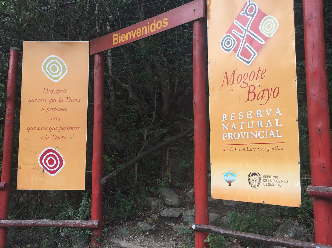 Reserva Natural Provincial Mogote Bayo景点图片