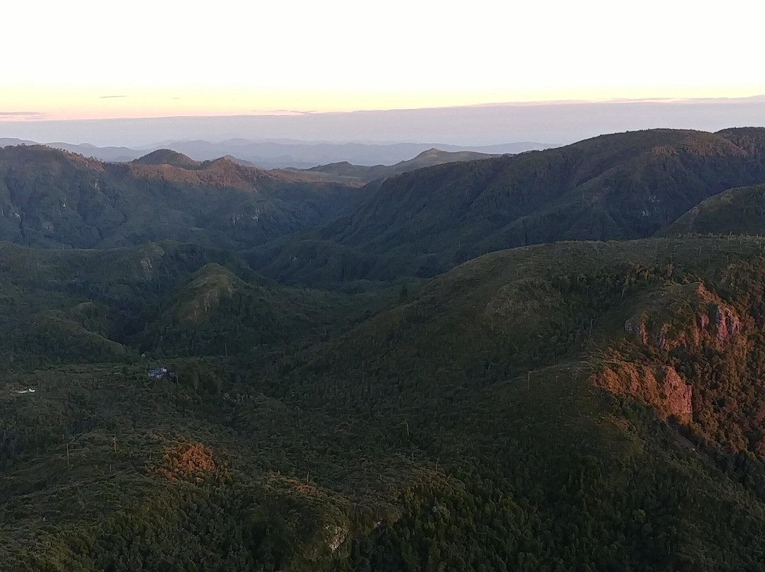 Kauaeranga Kauri Trail (Pinnacles Walk)景点图片