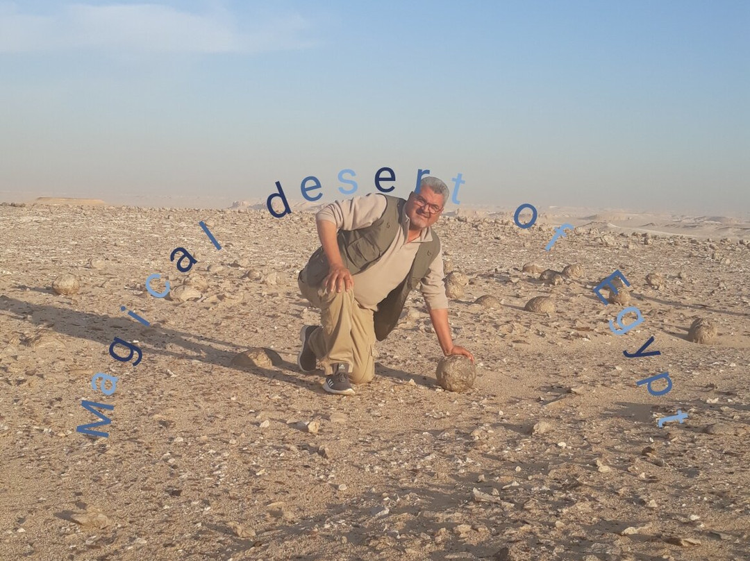 Egypt Western Desert Tours - Day Tour景点图片