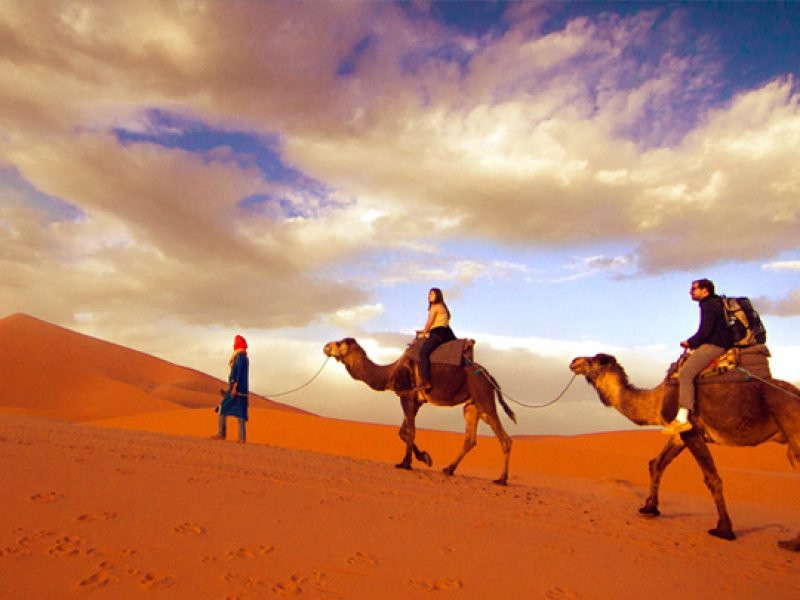 Admire Morocco景点图片