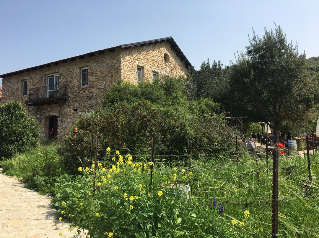 Amphorae Winery-Zichron Yaakov必去景点