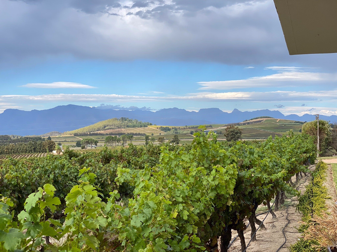 Arra Vineyards-Klapmuts必去景点