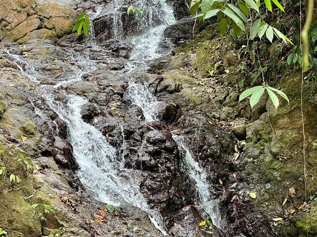 Real Adventure Tours景点图片