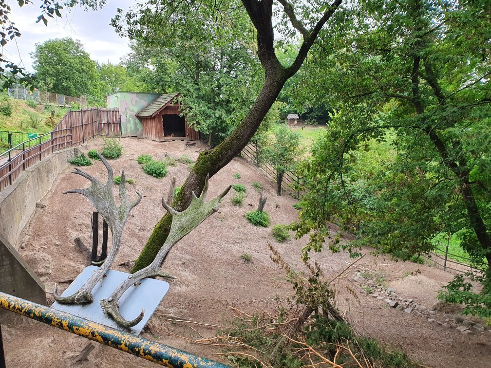 Zoo Plock景点图片