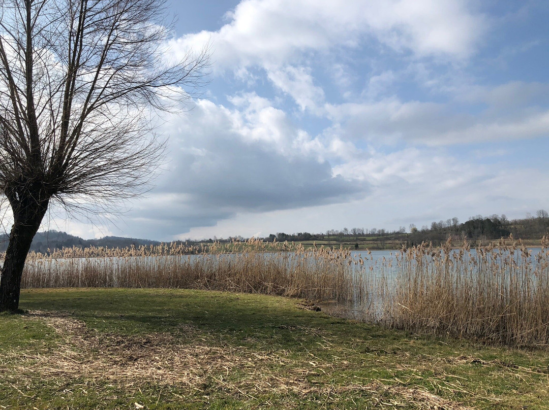Plage du Grand Lac de Clairvaux-Clairvaux-les-Lacs必去景点