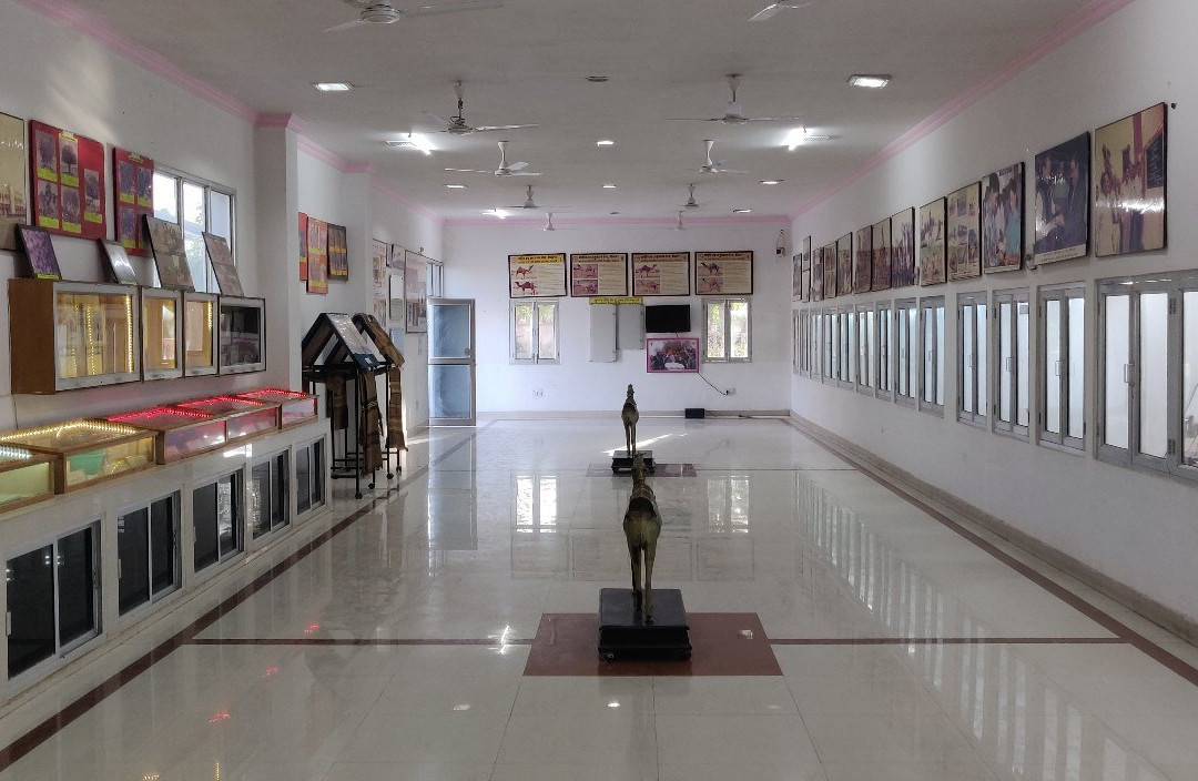 National Research Centre on Camel-碧卡内必去景点