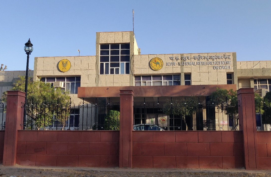 National Research Centre on Camel-碧卡内必去景点