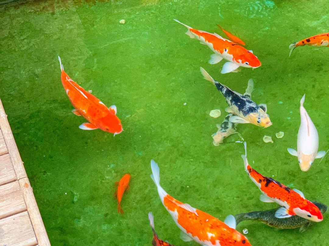 Africa Jade Thalasso Hôtel Korba主图