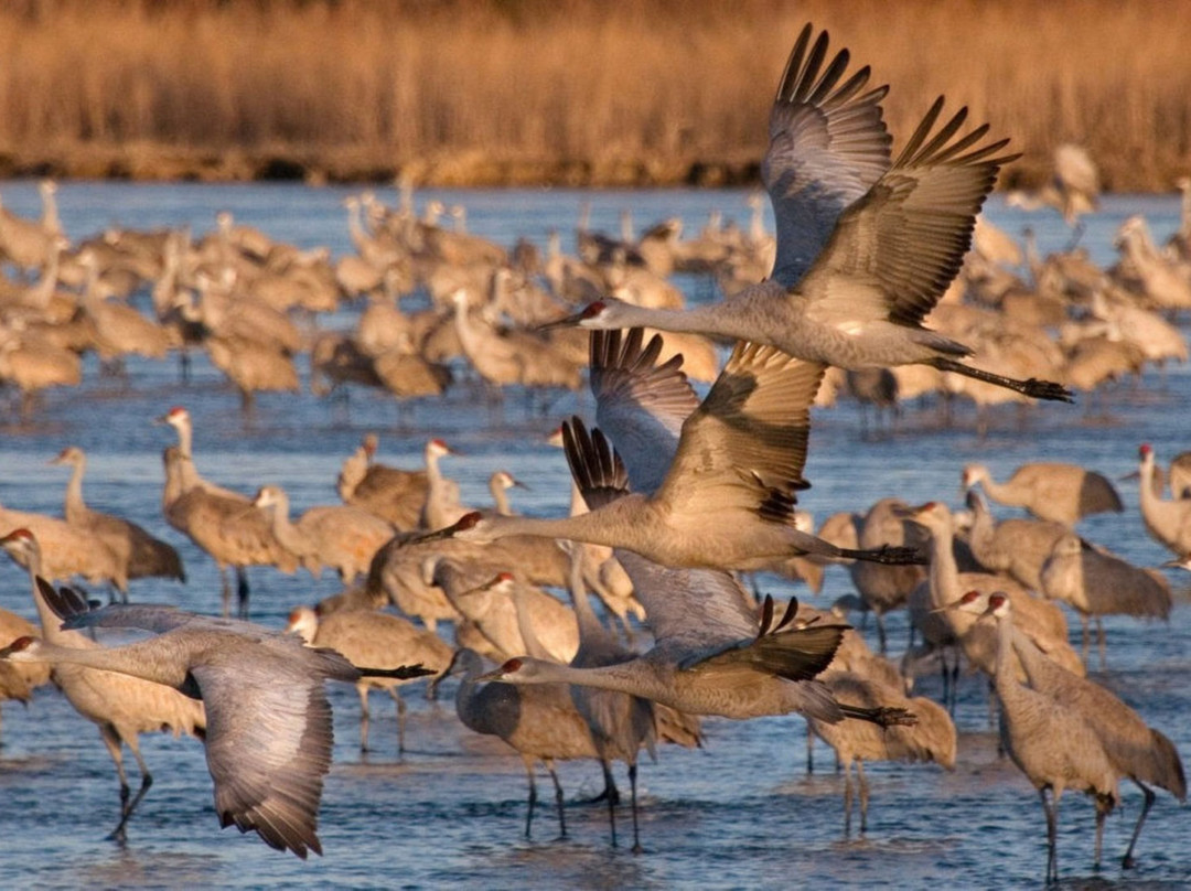 智选假日酒店-卡尼-洲际酒店集团旗下主图