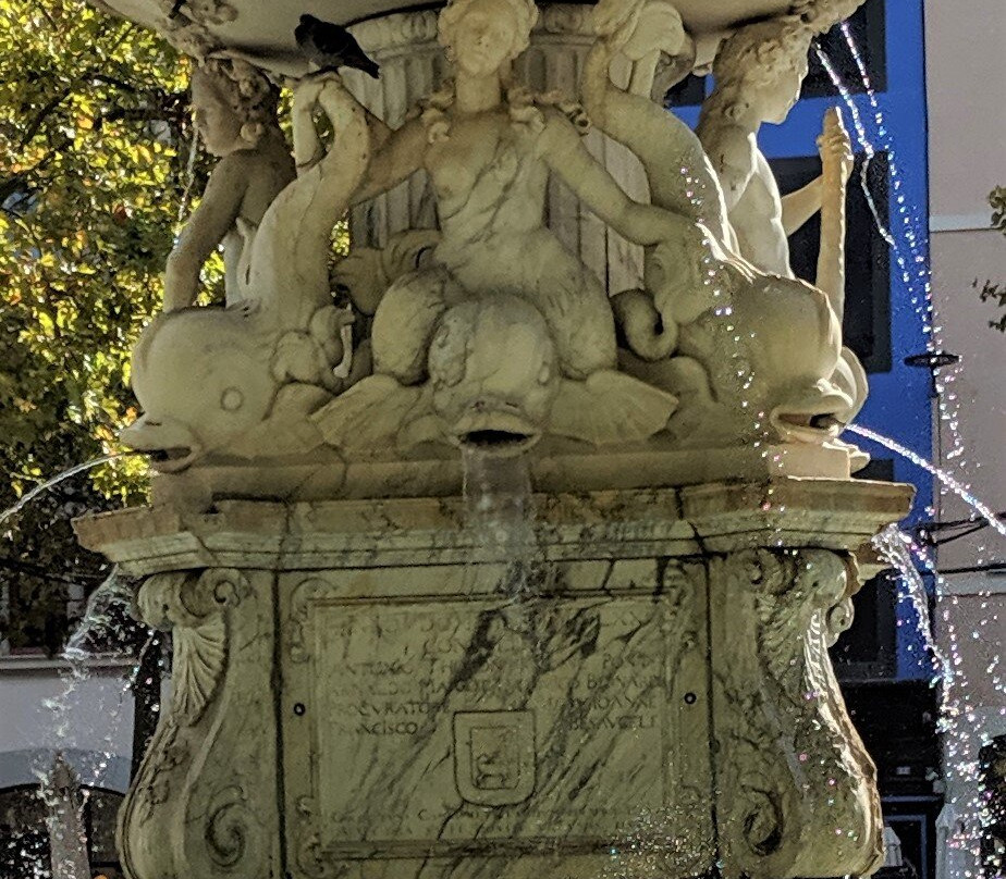 Fountain of Neptune景点图片