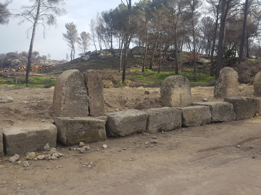 Oppidum de Saint-Blaise景点图片
