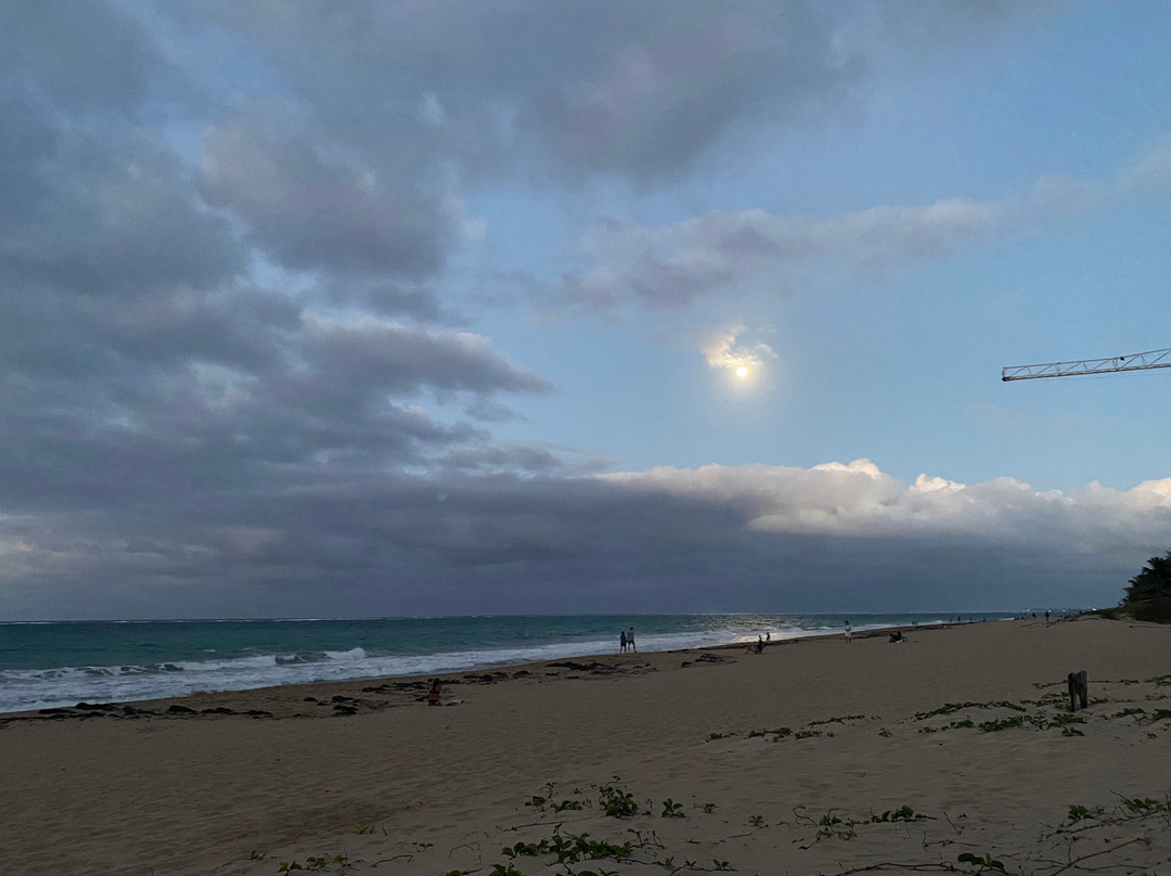 Trópica Beach Hotel主图