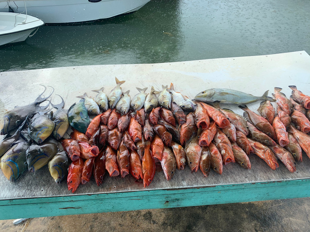 Paulie's Fishing Charters & Adventures景点图片