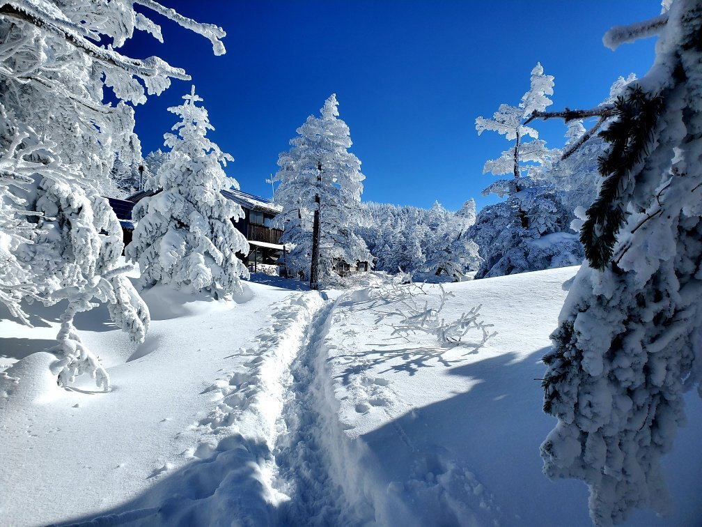 Mt. Tengu-茅野市必去景点