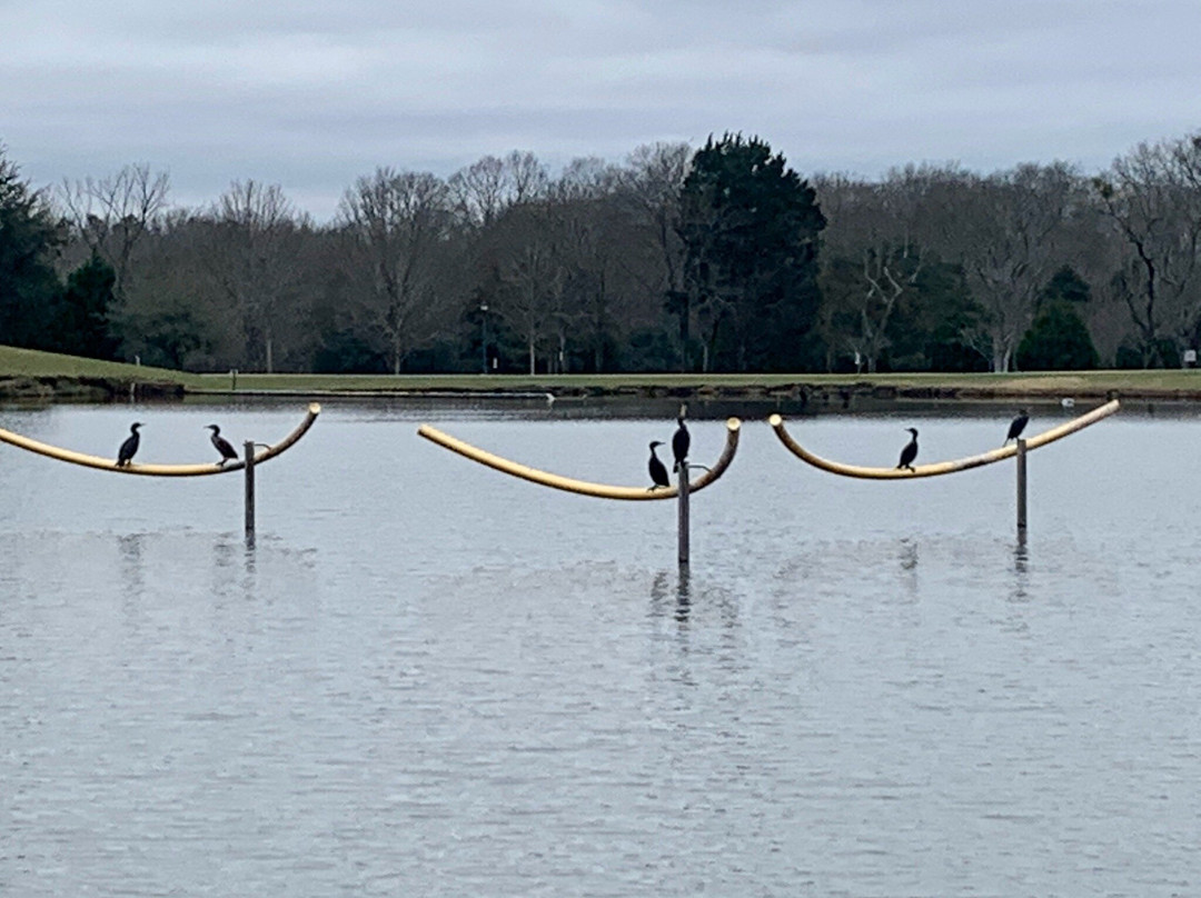 Montgomery Museum of Fine Arts-蒙哥马利必去景点