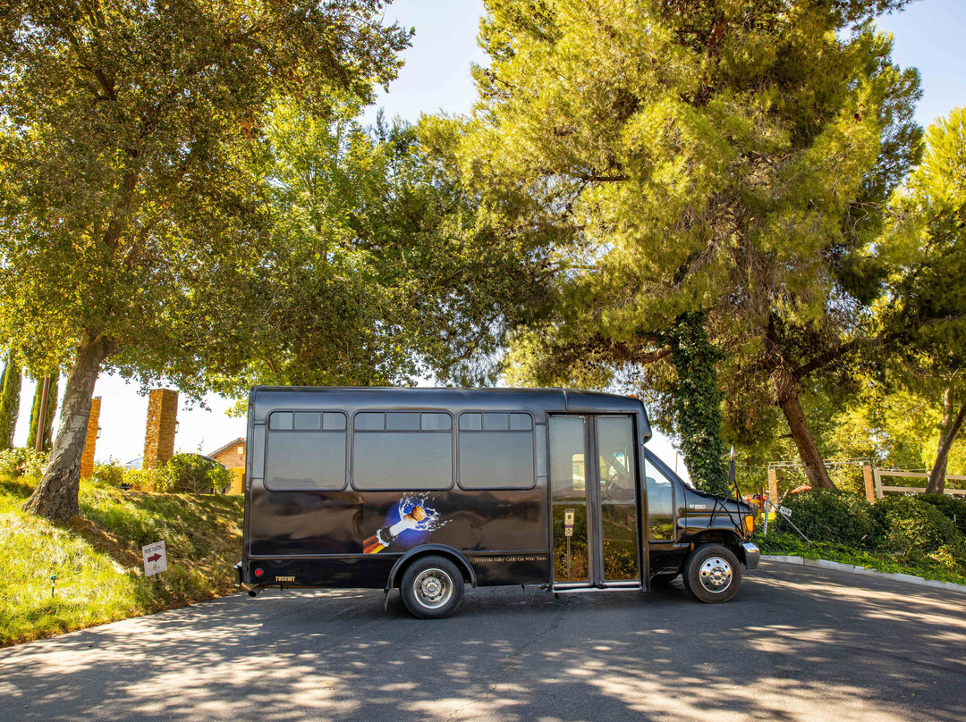 Fredericksburg Cable Car Wine Tours-弗雷德里克斯堡必去景点