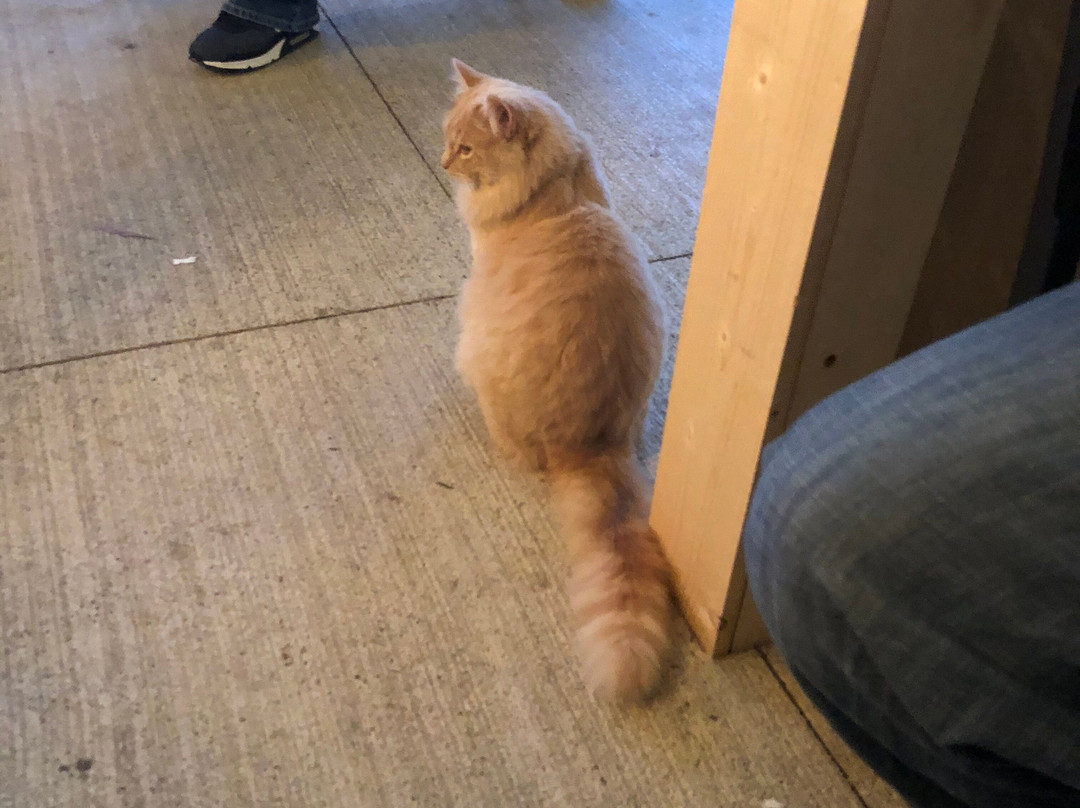 Hocking Hills Winery-洛根必去景点