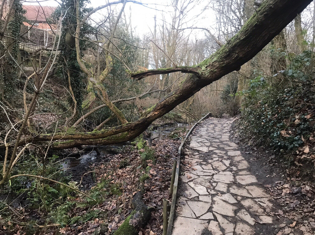 Churwell Woodland Railway-Morley必去景点